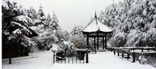 开封旅游门票 两折2折二折 16景点 汴京八景 梁园雪霁 年票