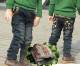 http://img03.taobaocdn.com/bao/uploaded/i3/T1STxQXmpbXXcJWT3T_012946.jpg_b.jpg