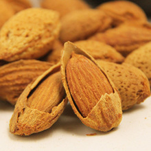 【谷的福】特价坚果干果 新疆特产巴旦木 奶油薄壳杏仁560g 包邮