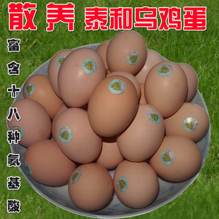  井冈山特产 泰和乌鸡蛋散养土鸡蛋 孕产妇儿童滋补珍品 3.15诚信