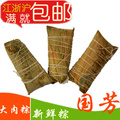 【新鲜粽子真空包装】湖州特产国芳粽子 新鲜（大）鲜肉粽子包邮