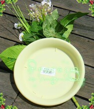 日本IRIS爱丽思花盆正品 爱丽丝花盆托盘塑料/树脂 6号黄色托盘