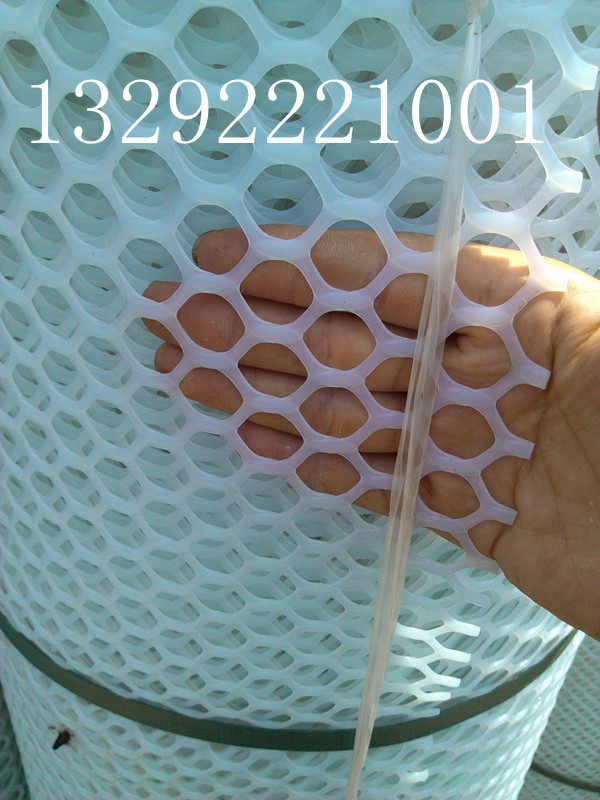 成雞養殖塑料網的網孔:1.5cm,1.8cm,2.0cm 寬度2米,長度50米在類目 基礎建材, 其它基礎建材, 基礎材料中 - 來自Buy2taobao.com提供專業的淘寶代購服務
