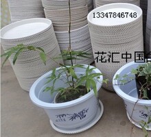 特价圆形 白色 花边 内口径9-36.5厘米 塑料花盆托盘/移动托盘
