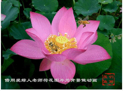 补拍差价