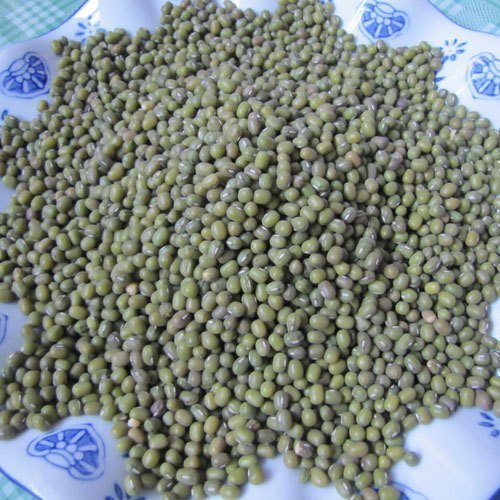 返璞归真/山西特产/绿小豆500克在类目 粮油米面/南北干货/调味品, 米/面粉/杂粮, 豆类, 其它中 - 来自Buy2taobao.com提供专业的淘宝代购服务