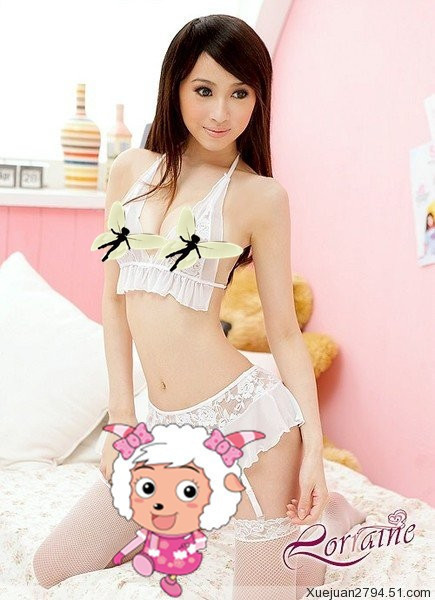 味使用5-6次,特价直供 羽翼天使绕脖薄纱<em>文胸</em>+