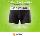【棉先生 镇店之宝 真正莫代尔内裤短裤】男士女士都有份 P9171