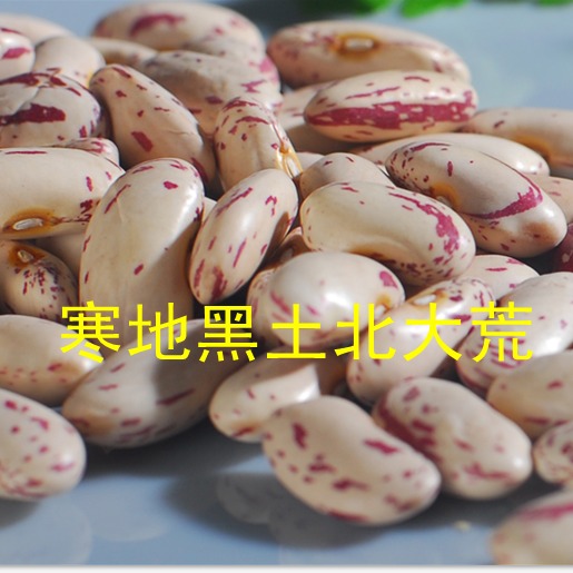 芸豆东北特产 热卖芸豆奶白花芸豆饭豆子农村杂粮在类目 粮油米面/南北干货/调味品, 米/面粉/杂粮, 豆类, 其它中 - 来自Buy2taobao.com提供专业的淘宝代购服务