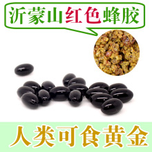 蒙园品牌沂蒙山原生态新品 220粒蜂胶胶囊正品 排毒养颜 买3送1