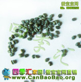 taobao english 5019839217