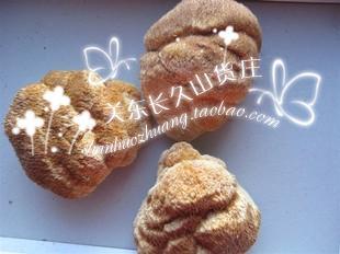 新品东北长白山土特产南北干货特级猴头蘑 猴头一斤包邮