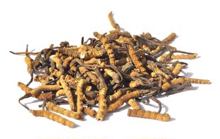  骏华天宝 青海玉树虫草断草 正品冬虫夏草断虫草 同仁堂级别 包邮