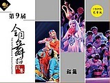 第九届全国舞蹈比赛 完整版 群舞单双三人10DVD