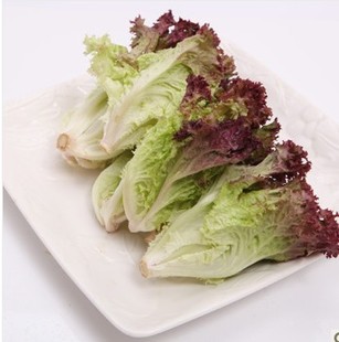 Western ingredients fresh Red leaves Lettuce Rossa 11.80/500 gramin the Aquatic meat/Fresh fruits and vegetables/Cooked , Fresh vegetables/Vegetable products , Fresh vegetables , Other category - from Buy2taobao.com to provide professional Taobao agent buy service