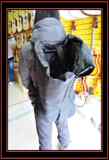 taobao english 13950122636