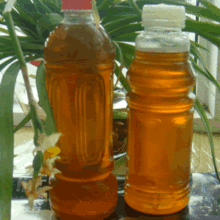熟桐油纯桐油,大别山区健康环保木器漆250g装