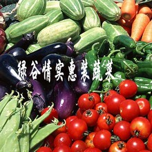 北京平谷农民自产新鲜有机绿色蔬菜组合4种 (市内包邮)当天到家
