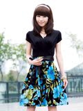 2010夏新款/热卖女装/韩版/印花/V领/长款/显瘦收腰/连衣裙子特价