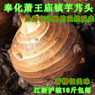  新鲜上市 自家种正宗奉化芋艿头/有机蔬菜/香芋/毛芋头/10斤包邮