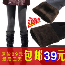 包邮2012春新款显瘦加绒打底裤女卡拉绒双层加厚九分保暖裤靴裤