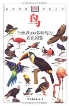 满29元包邮正版鸟:全世界800多种鸟的彩色图鉴 /丁长青