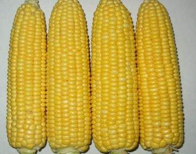 高仿<em>乐高</em>积木 儿童益智拼装玩具 消防局指挥中