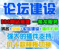 论坛建设 BBS建站 网站制作搭建 多模板可选择 包安装一条龙服务