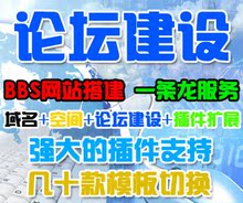 论坛建设 BBS建站 网站制作搭建 多模板可选择 包安装一条龙服务