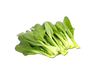  中国有机绿色食品专营 天地生 鸡毛菜500g 新鲜蔬菜 北京满百包邮