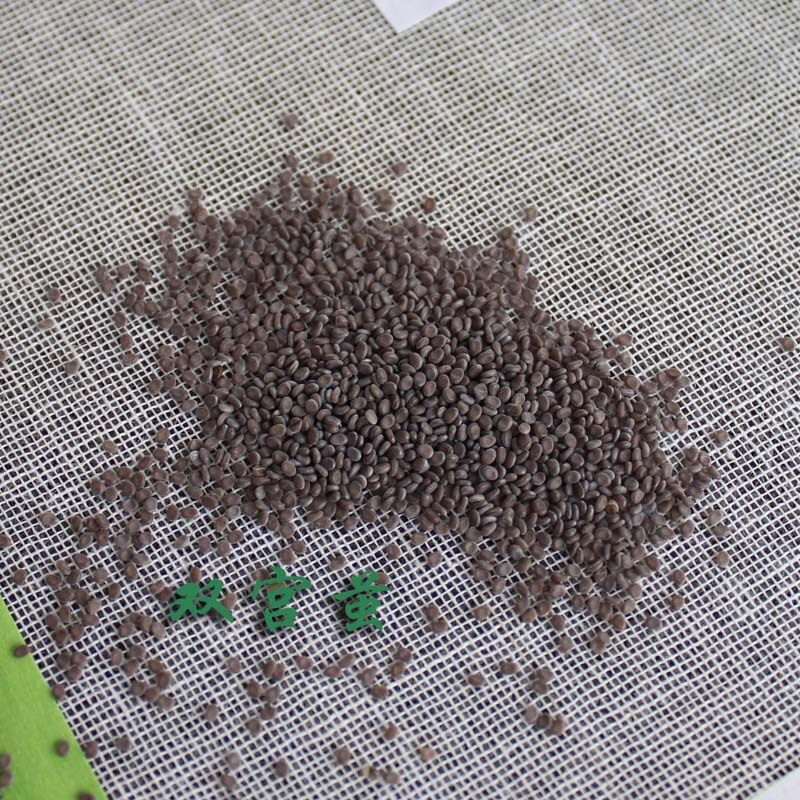Natural hatching of silkworm eggs silkworm seed silkworms silkworm egg silkworm 10 1500