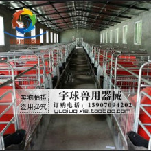 猪用产床 母猪产床 猪用分娩栏 养猪设备  批发价格可商量