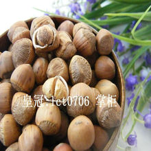 【皇冠】东北野生榛子 自家采摘250g 三斤包邮送果钳 不开口 特价