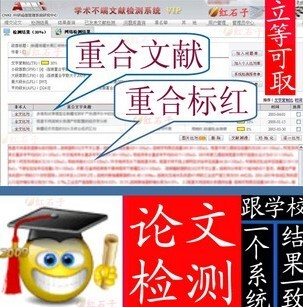 论文查重