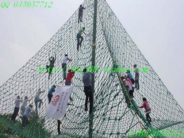 泰州团建公司：凝聚团队力量，激发工作潜力的新方式