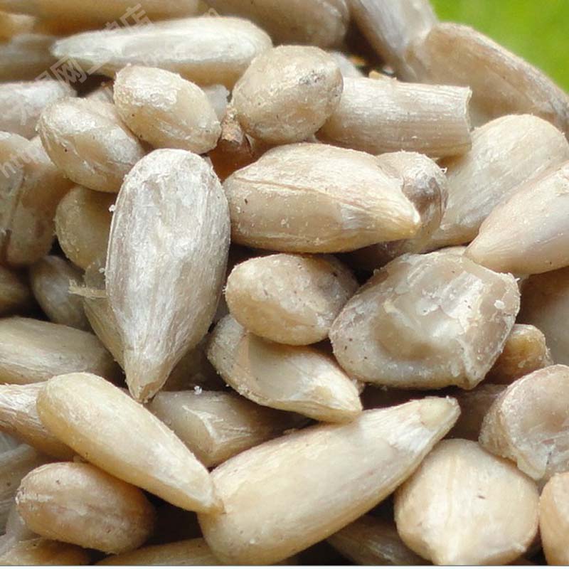 优质生葵花籽仁/生瓜子仁500g多吃杂粮葵瓜子仁 无壳|msdalam kategori makanan ringan/Nuts/Specialty, Hickory/Nuts/pemanggangan, biji tembikai - dari Buy2taobao.com untuk memberikan perkhidmatan ejen Taobao profesional membeli