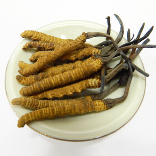  【金送福】青藏纯野生冬虫夏草 虫草 特级精选虫草 散装5条1克