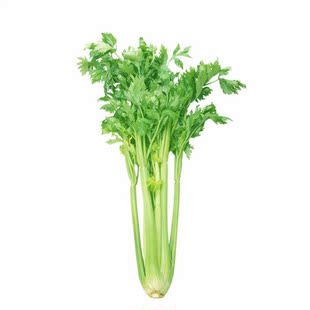  中国有机绿色食品专营 天地生 有机芹菜500g 北京满百包邮