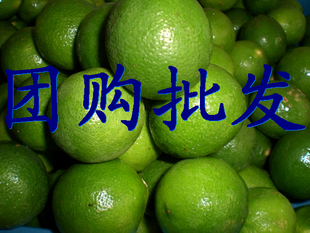  新鲜水果团购 越南进口 新鲜青柠檬 8.5元/斤 广东运费10元不限重