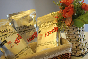  出口日本百福美胶原蛋白多肽粉100G 淡斑美白保湿内服圣品