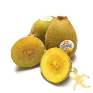  佳利麦鲜果新西兰黄金奇异果10个【特大】猕猴桃佳沛金果新鲜水果