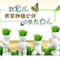 生态E园 最新款动感小白人 大号 好种易生长发芽率高(我快活)