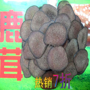  寳益堂 吉林双阳梅花鹿茸片 血片红粉片 店庆特价1.8元