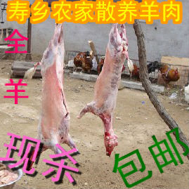  寿乡正宗农家放养羊肉/新鲜羊肉/羊腿/羊排/非饲料羊/生羊肉