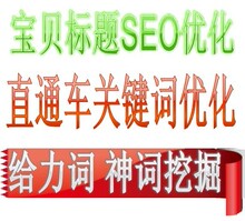 淘宝赚SEO优化专家 直通车关键词选词 宝贝标题优化助手程序开发