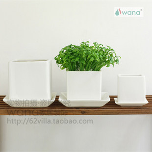 白色正方小花盆 陶瓷方缸 多肉植物花盆 价格不包括托盘