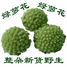 嘎瓦龙 西藏特产 特级野生绿萝花茶 精品花草茶 1斤包邮免运费