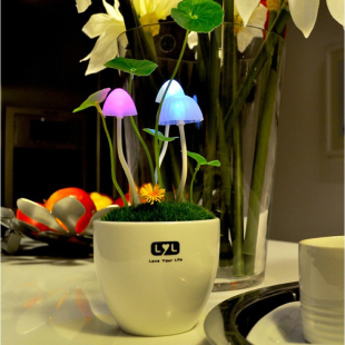  送女友的浪漫礼物男生实用送男友女生生日礼物 创意情人节礼品