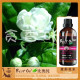 BESTOIL比奥纯水溶性植物精华茉莉花水纯露
