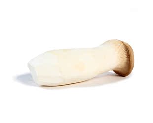  中国有机绿色食品专营 天地生 杏鲍菇500g 新鲜蔬菜 北京满百包邮